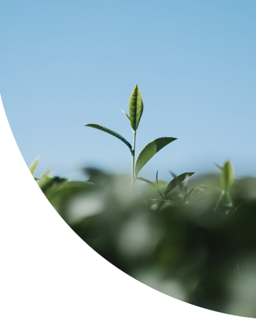image-sustainability image-sustainability